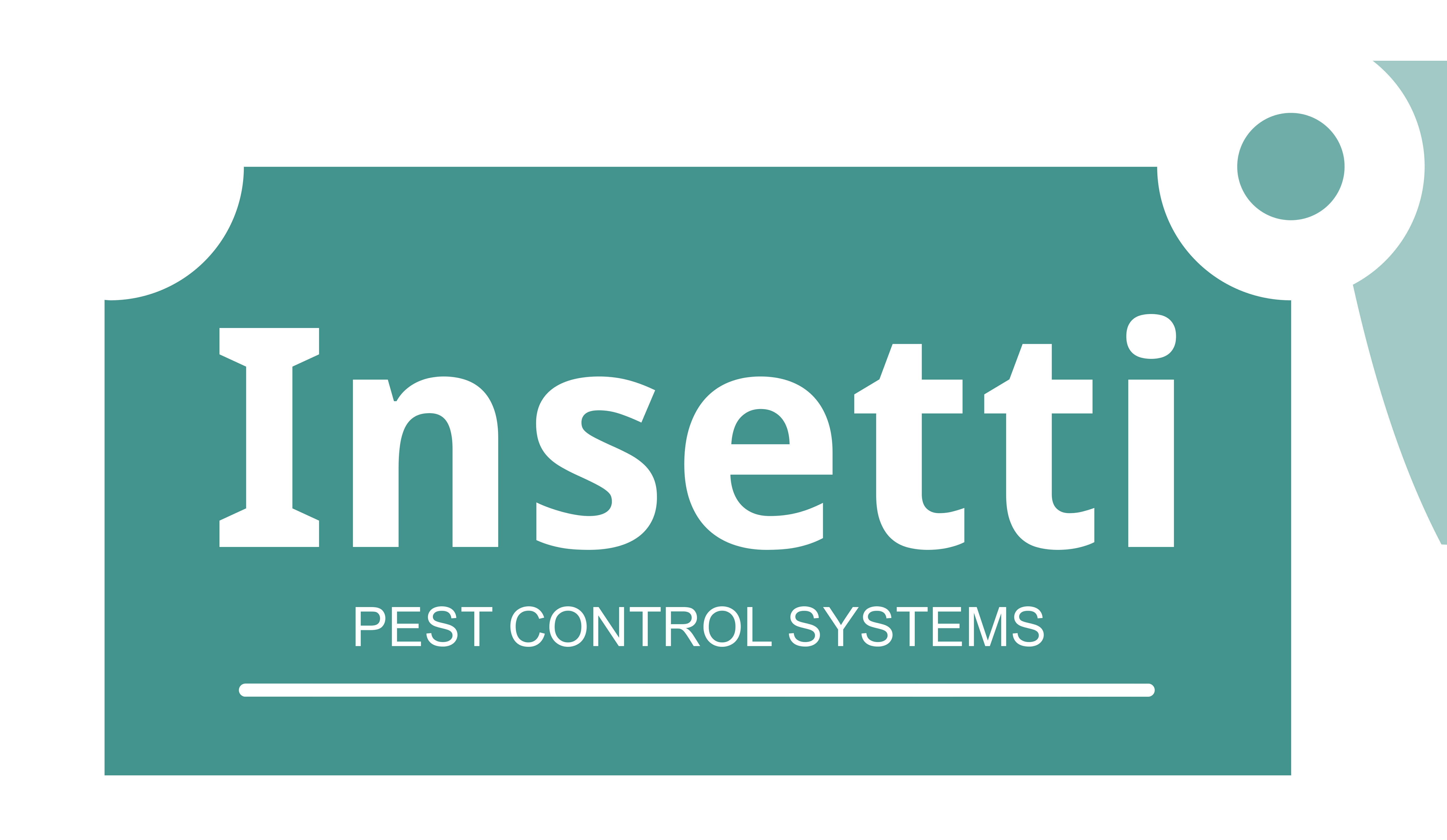 Insetti