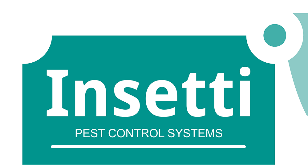 Insetti